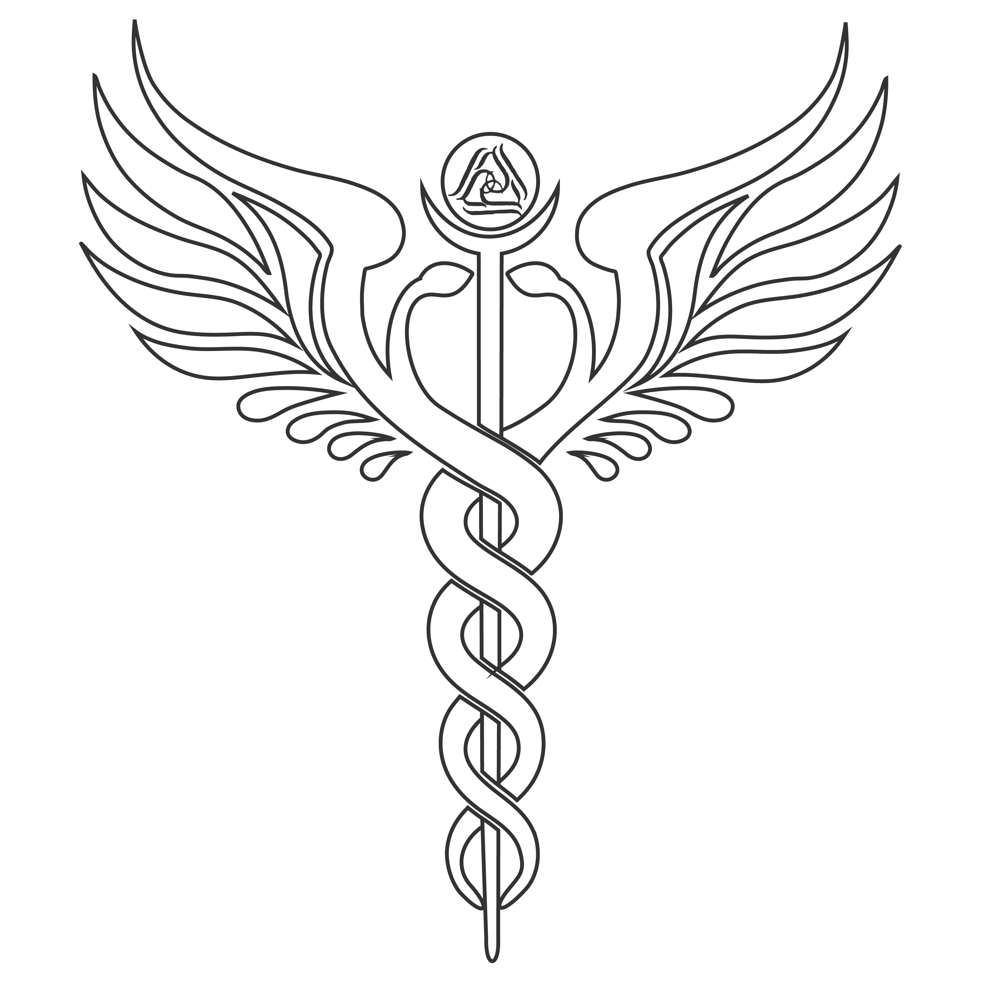 the caduceus depicted on the front cover of conscious connection