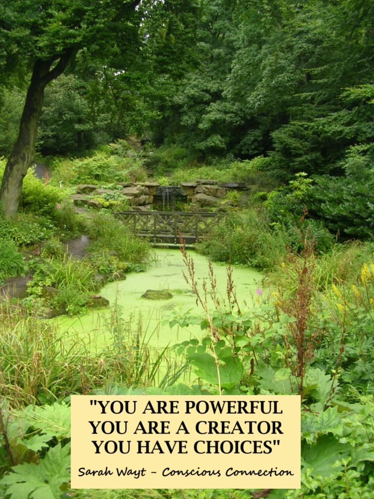 you are powerful you are a creator you have choices