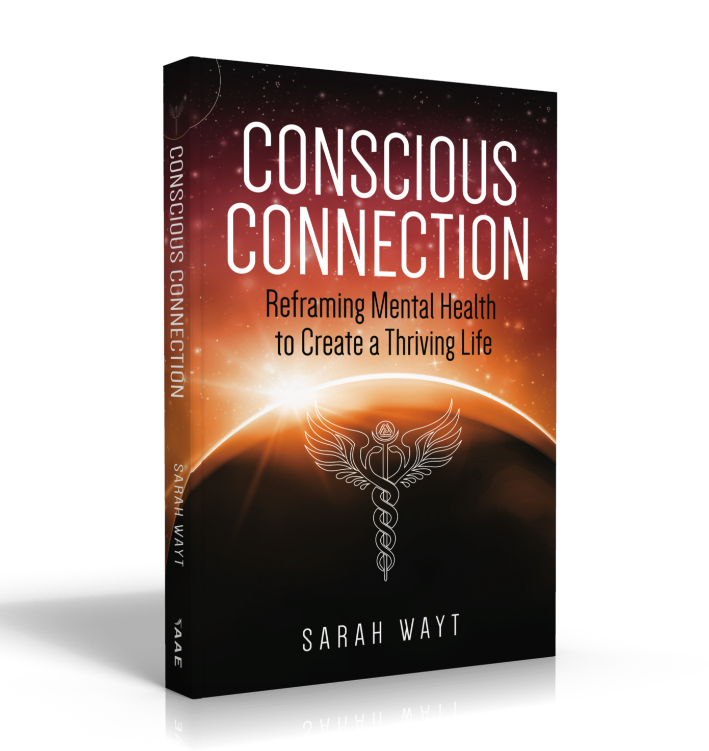 conscious connection book 1 cover