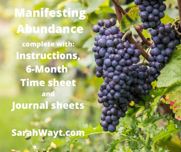 6 month spiritual energy exchange manifesting abundance timesheet