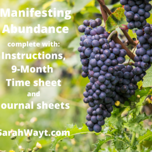 9 month spiritual energy exchange manifesting abundance timesheet