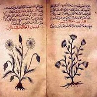 Egyptian use of aromatherapy