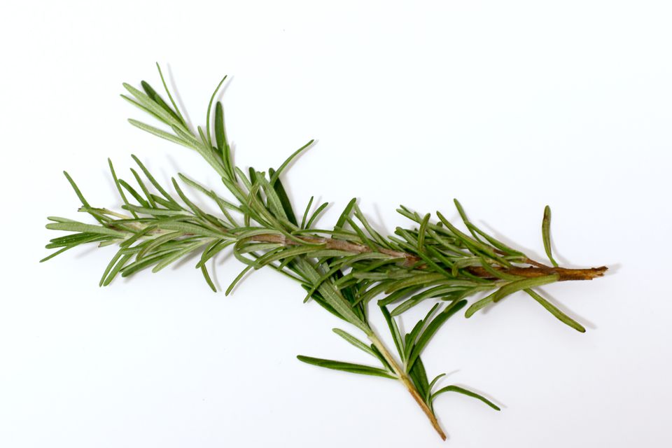 Aromatherapy rosemary