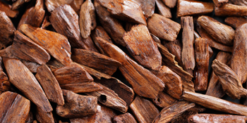 aromatherapy sandalwood