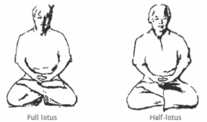Half Lotus Yoga
