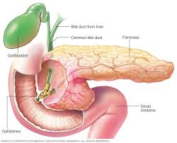 pancreas stomach chakra